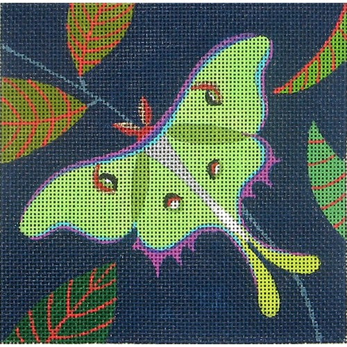 Luna Moth