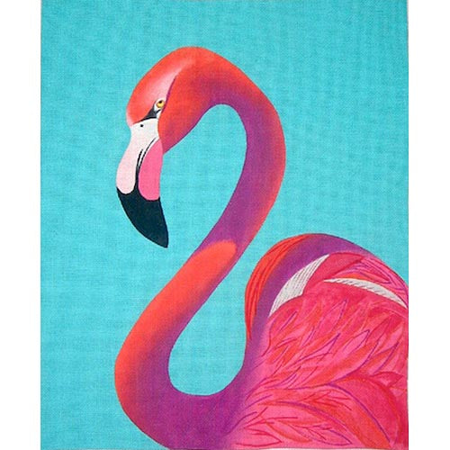 Flamingo Portrait