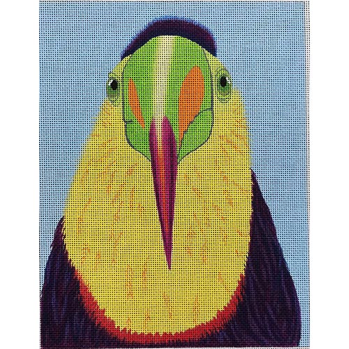 Flat Top Toucan