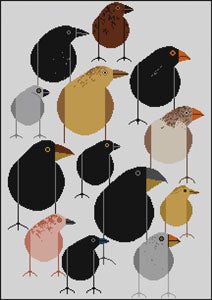 Darwin's Finches by Charley Harper
