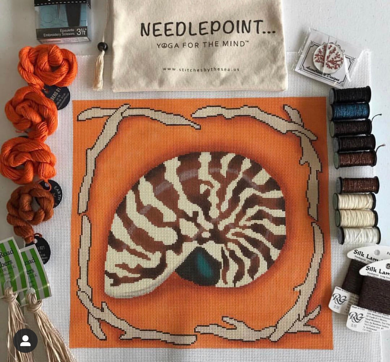 Nautilus Shell on Orange by Gayla Elliot